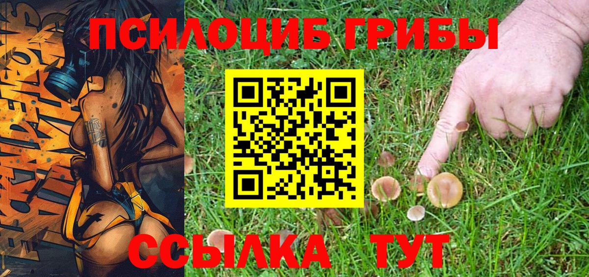 Псилоцибиновые грибы Magic Shrooms Вязники