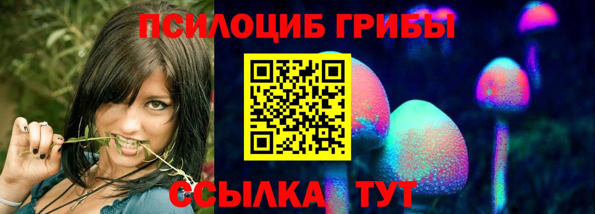 Псилоцибиновые грибы мухоморы  Вход с VPN  Вязники 